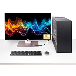 10ft (3m) DisplayPort 2.1 Cable, DP40 DisplayPort Cable w/UHBR10/HDR/MST/DSC 1.2a/HDCP 2.2, 8K 60Hz