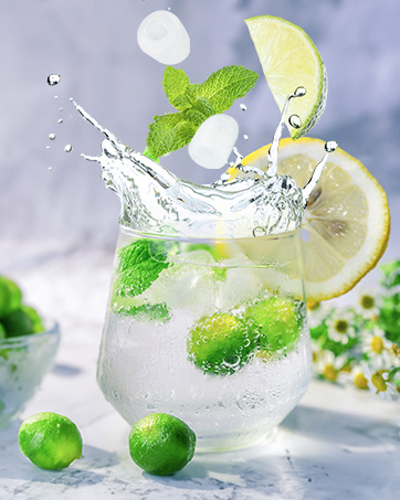 ice maker