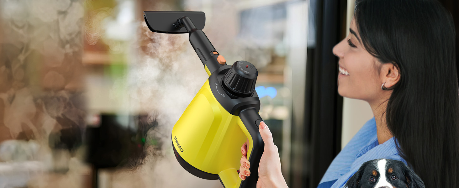 steam cleaner