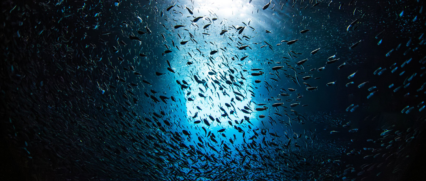 underwater fishing light