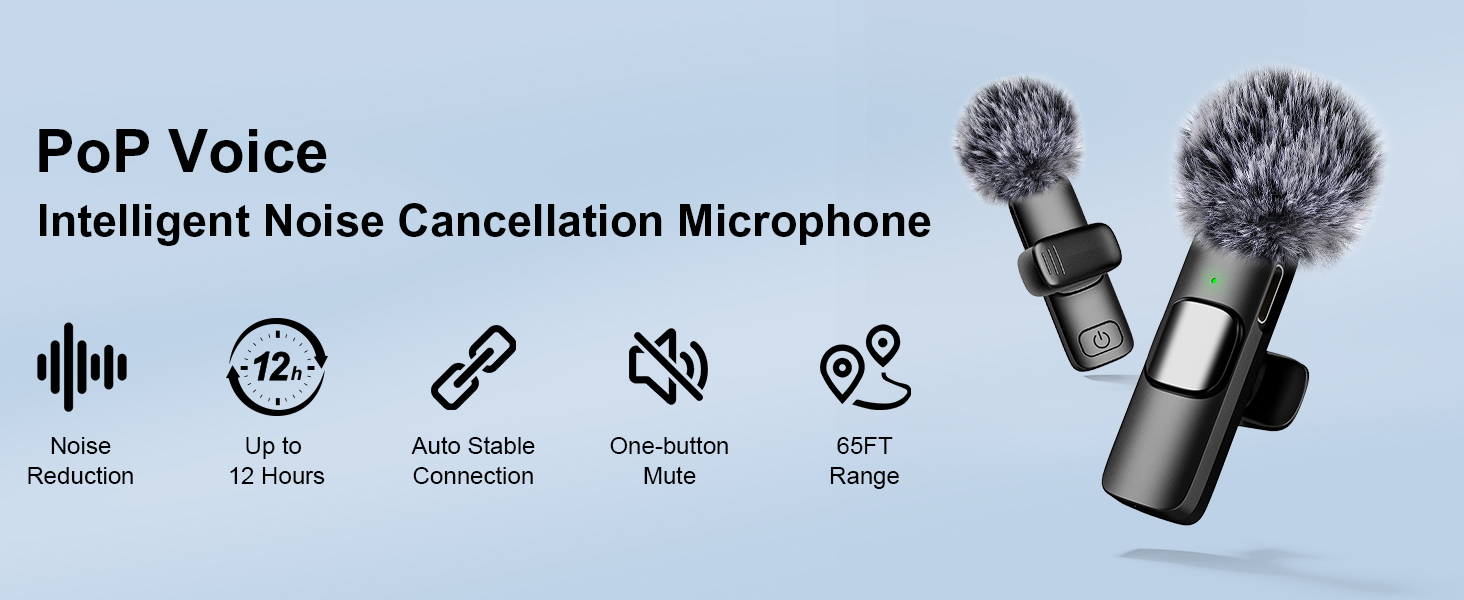 USB C Mini Microphone for iPhone