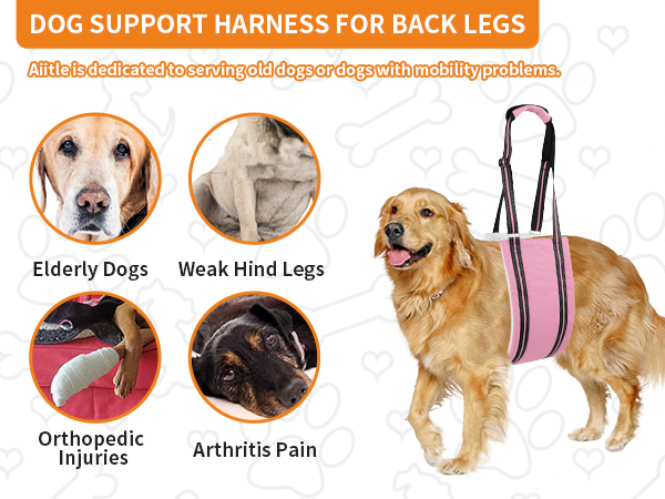 AIITLE Heavy-Duty Dog Lift Harness - Adjustable Hind Leg Support Sling for Elderly/Disabled Dogs
