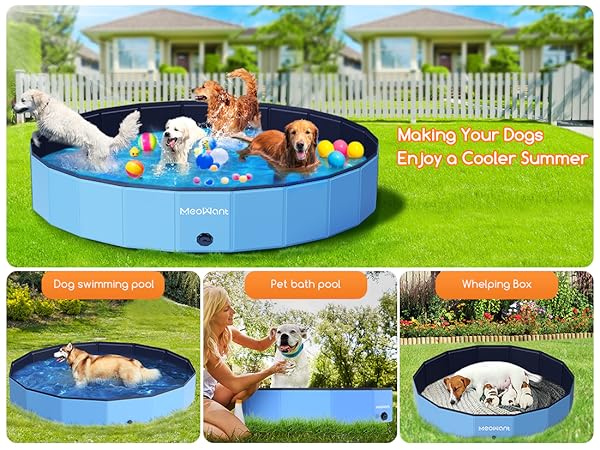 extra large dog pool