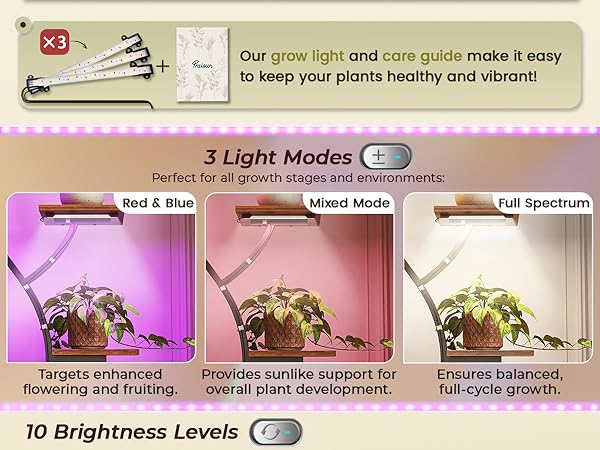 PLANT RACK