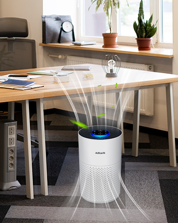 Portable Air Purifier