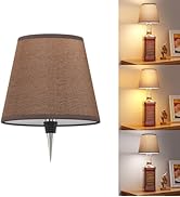 Eclipterra Cordless Bottle Lamp Shade Wireless RGB LED Wine Bottle Lamp with 3 Color Temperature ...