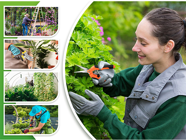 Gardening Scissors