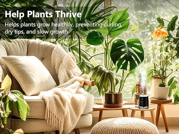 cool mist humidifiers for bedroom