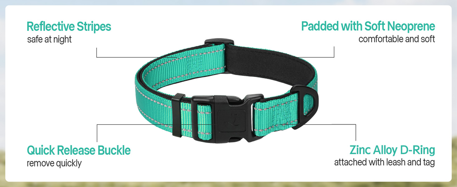 dog collar