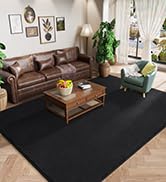 modern area rug