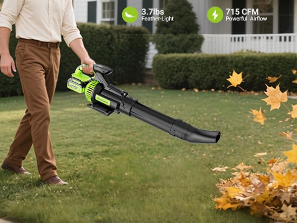 leaf blower cordless