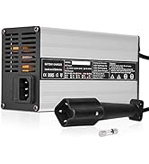48 Volts 6 AMP Golf Cart Battery Charger 3-Pin Style Outlet Plug Club Car Charger with Fuse Compa...