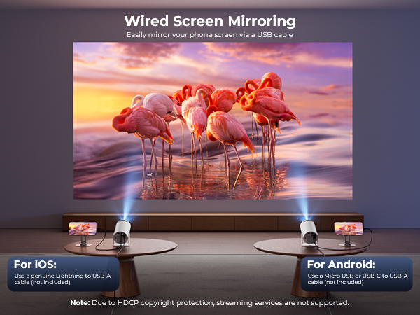 projector for ios and Android