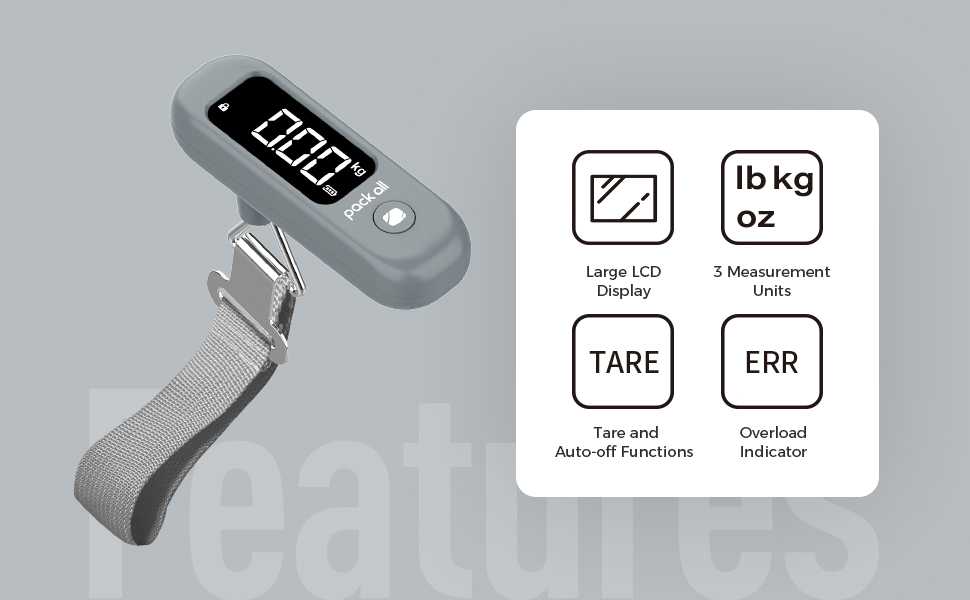 luggage scale