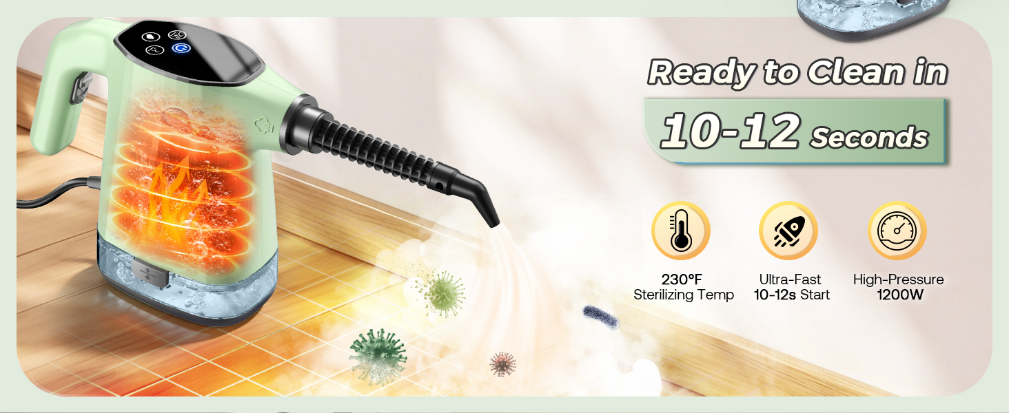 steam cleaner handheld