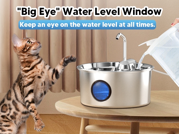 pet water fountian