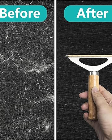 Portable Lint Remover