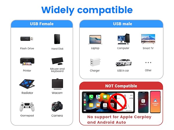 USB Male to Two Female Extension Cord