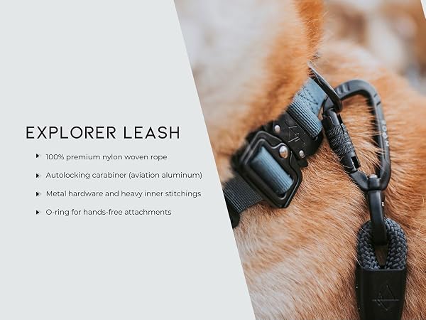 Explorer Leash
