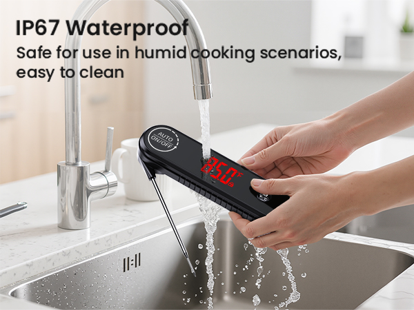 meat thermometer