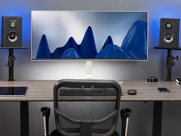 speaker mounts