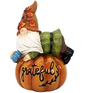 KnomeKo Fall Decorations for Home Thanksgiving Gnome, Autumn Fall Pumpkin Decor Harvest Shelf Dec...
