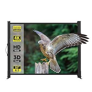 outdoor projector screen