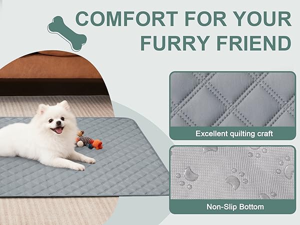 comfort for your furry friend