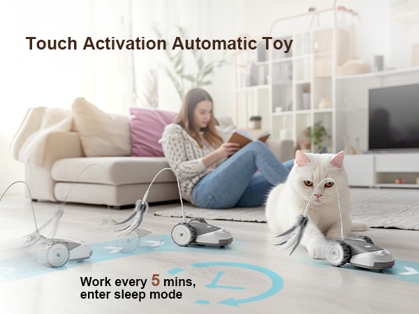 Interactive Cat Toy