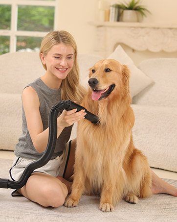 A golden retriever dog sitting next to a person in a gray top. The dog appears friendly and the setting is indoors.