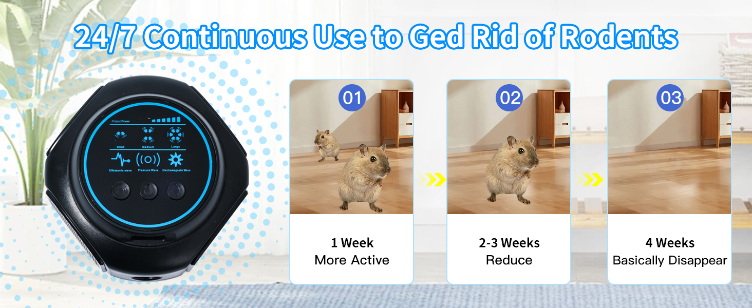 Pest Control for Rat Mice Spider Squirrel Roach