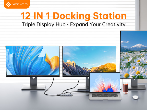 USB C DOCKING STATION