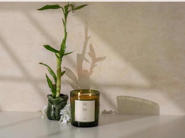 Bamboo Jasmine