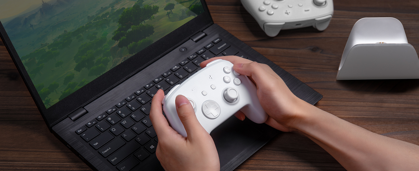 switch pro controller wireless