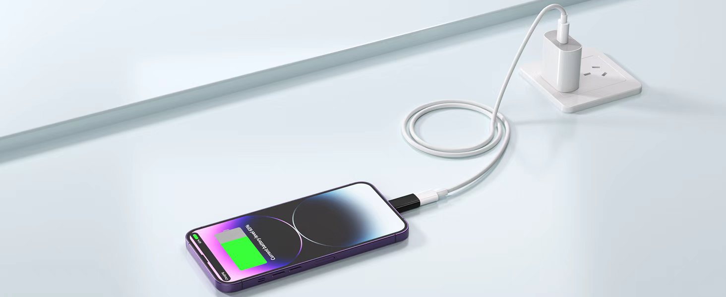 lightning male to usb c female