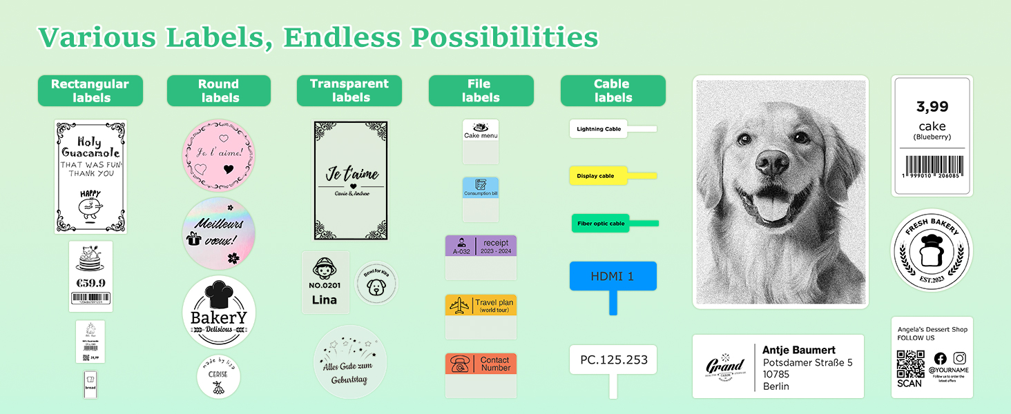 Various Labels, Endless Possibilities