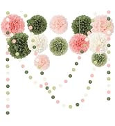 NICROHOME EUR Wedding Party Decorations Set, 15 PCS Pink Sage Green Tissue Paper Pom Poms Dots Pa...