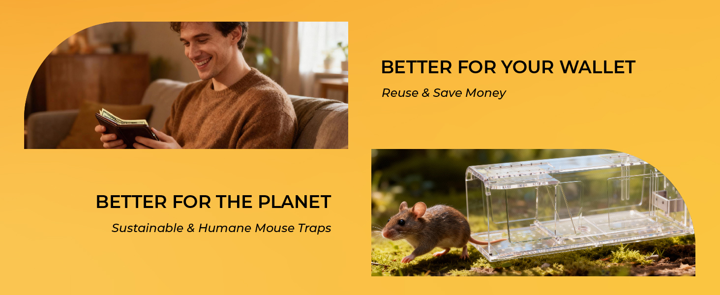 indoor mouse trap humane