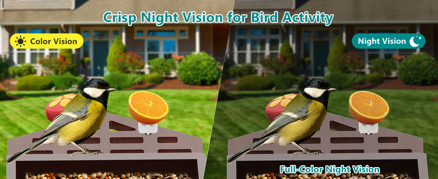 smart bird feeder with camera solar powered power wood wifi ai video live outdoor outside