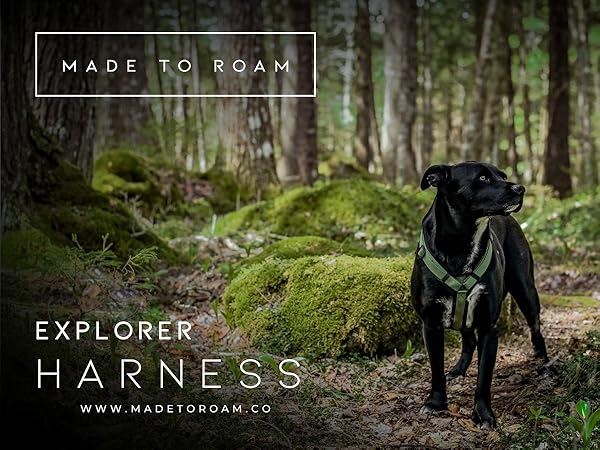 Made To Roam Explorer Harness Y-Shaped Oregon Haze