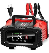20-Amp Car Battery Charger, 12V/20A and 24V/10A LiFePO4,Lead-Acid(AGM/Gel/SLA) Automatic Smart Tr...