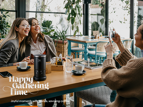 electric milk frother