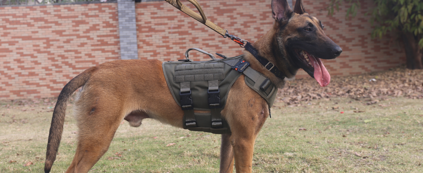 dog vest army green
