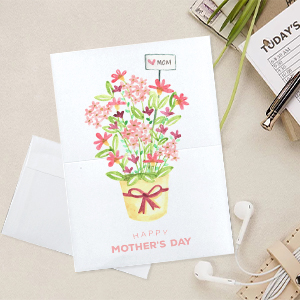 White Blank Cards With White Envelopes