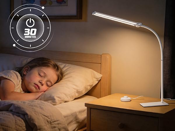 LED Desk Lamp with Base, Double Head Smart Desk Light with Controller Table Lamp for Home Office