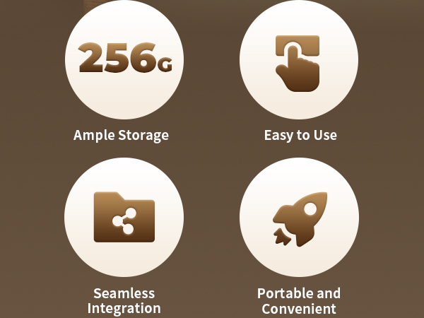 Blink Sync Module 2 Mount