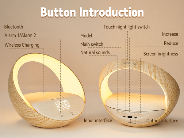 Button Introduction