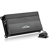 TOPSTRONGGEAR 1 Ohm 800 Watts Class D Full Range Mono Block Amplifier, 1/2/4 Ohm Stable, Remote S...