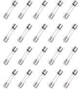 EC Buying 20 Pcs F30AL 250V 30A Fast-Blow Glass Fuses, 6x30mm/0.24x1.18 inch Fuse (30Amp) (F30AL2...