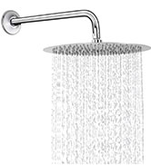 shower head with arm
